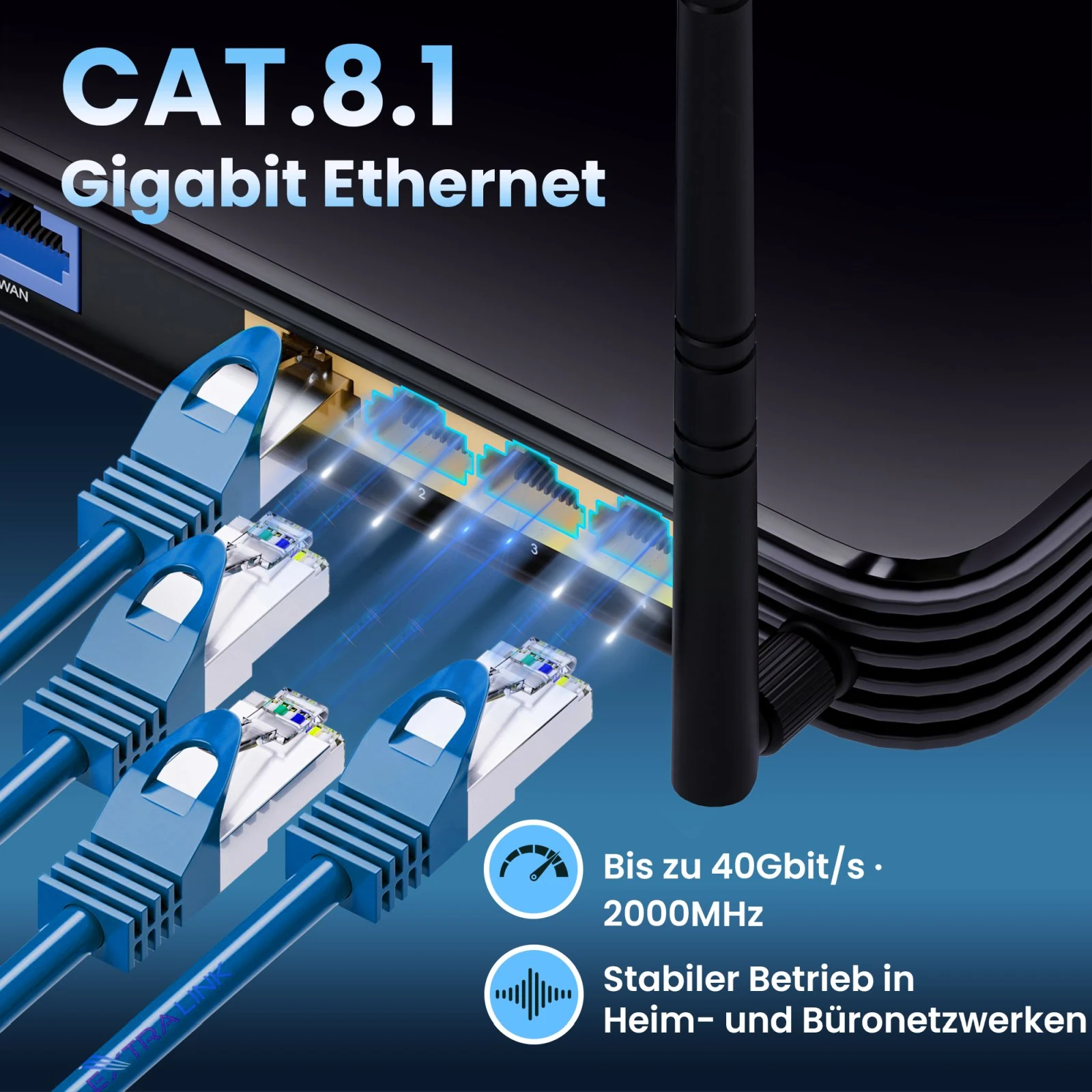 Blaue geschirmte RJ45-Patchkabel, die an einen Router und einen Netzwerk-Switch angeschlossen sind