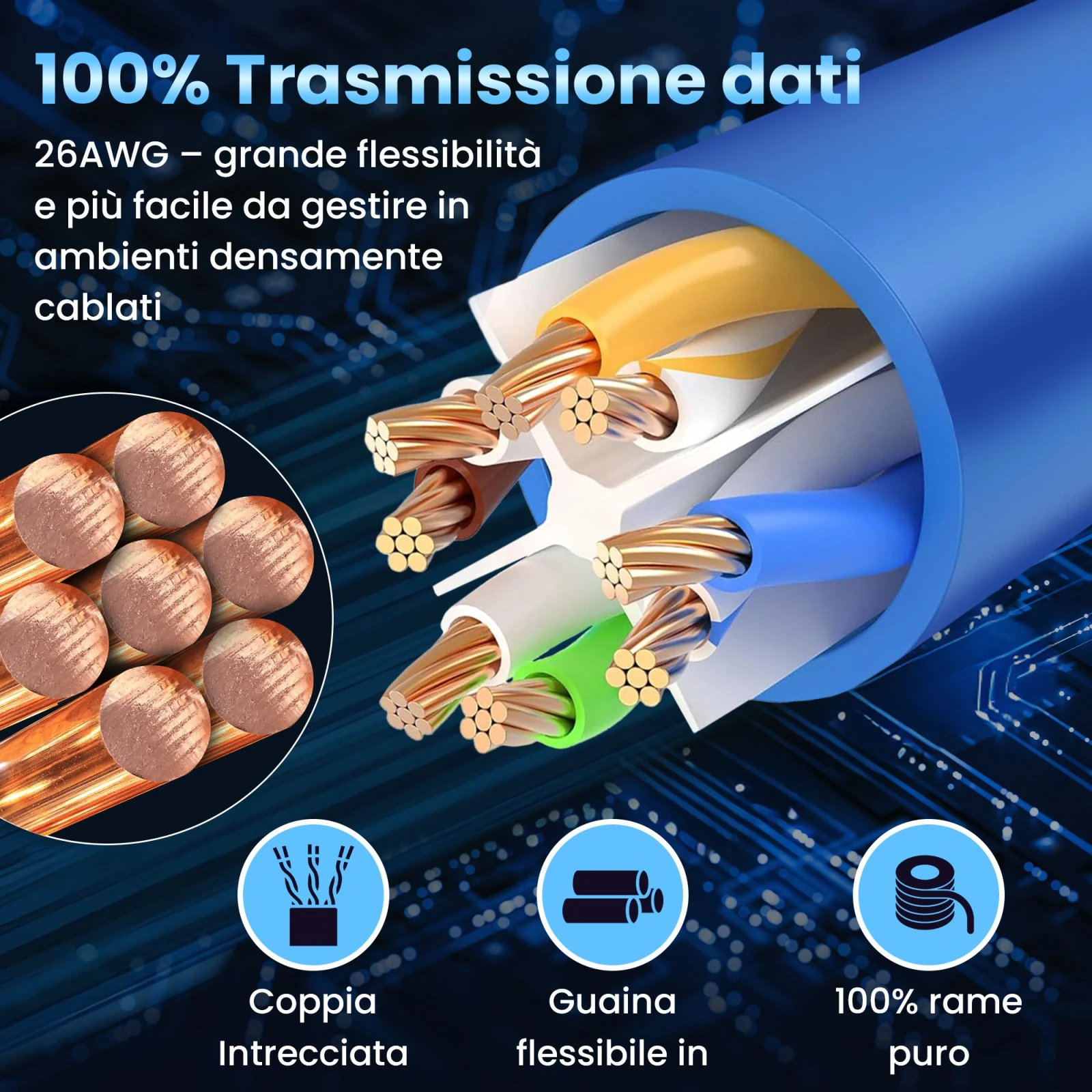 Sezione di un cavo di rete blu con conduttori in rame e coppie di fili colorati