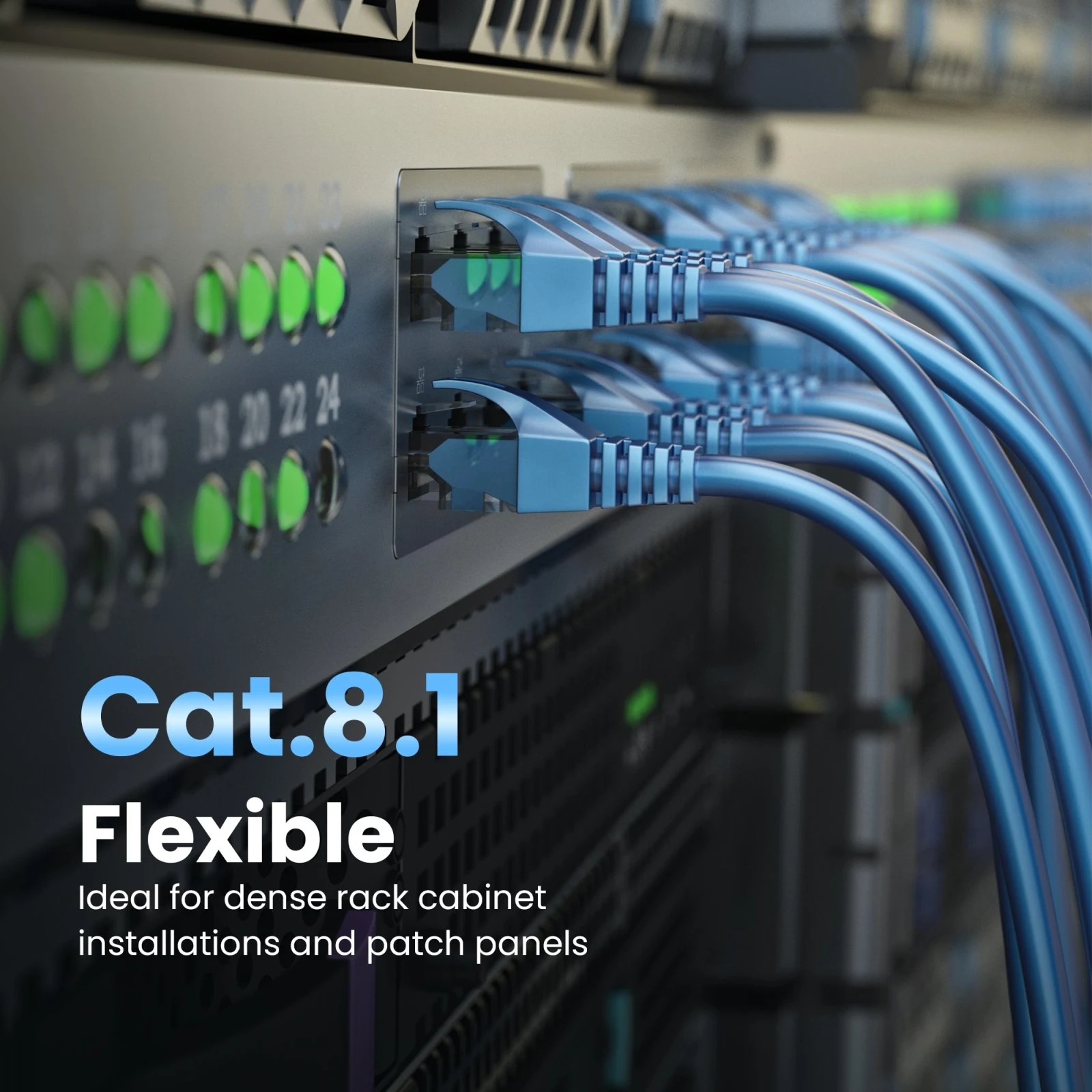 Blue patch cords connected to the ports of a network device in a rack cabinet